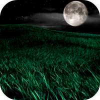 Night HD Video Wallpaper on 9Apps