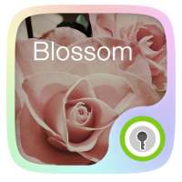 (FREE) Blossom GO Locker Theme on 9Apps