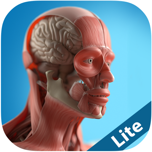 Anatomy Game Anatomicus Lite icon