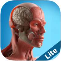 Anatomy Game Anatomicus Lite on 9Apps
