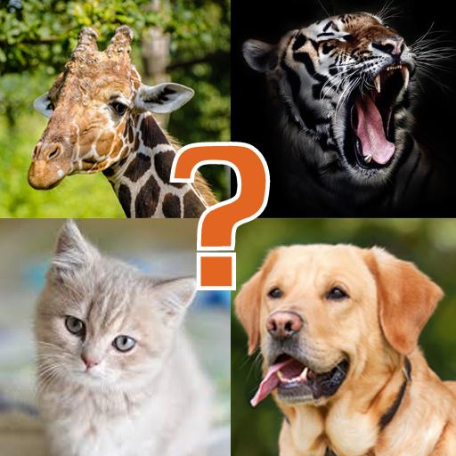 Animal Quiz - Learn All Animals and Birds icon