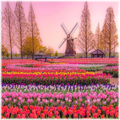 Free Puzzles For Adults icon