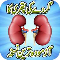 Kidney Stone Treatment Remedy on 9Apps