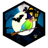 Flappy Bird 2019 icon