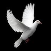 HUMAR CALL أيقونة