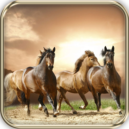 Savanna Animals Theme icon