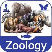 Zoology Study