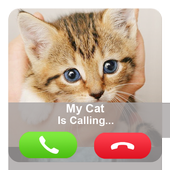 Fake Call Cat icon