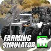 Guidare  Farming Simulator 17