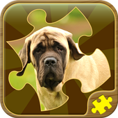 Dog Jigsaw Puzzles icon