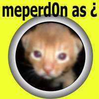 Me Perdonas - Boton y Meme 🐱