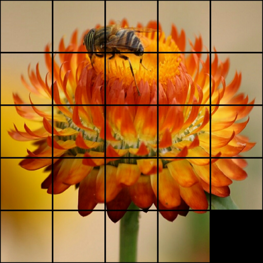 Sliding Tile puzzle icon