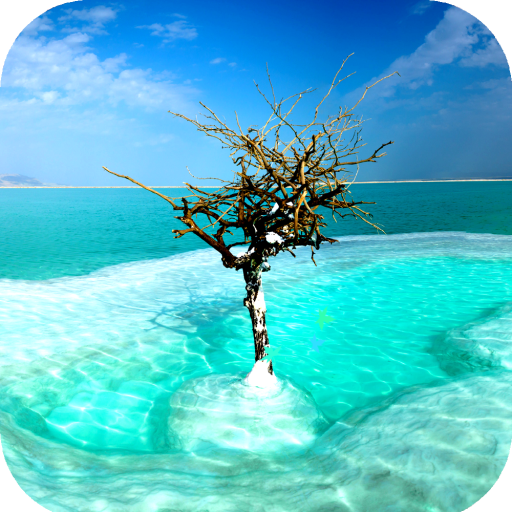 Tree Wallpaper HD icon