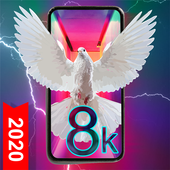 8K живые обои | Wallpapers иконка