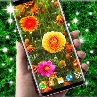 Autumn Flowers Live Wallpaper on 9Apps