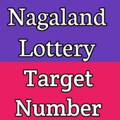 Nagaland Lottery : Target Number icon