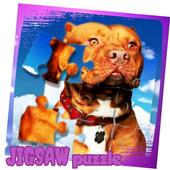 Pitbull Game Jigsaw Puzzle - New Dog Game App icon