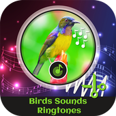 Birds Sounds Ringtones icon
