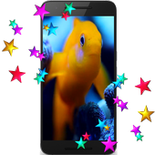 Fish Live Video Wallpaper icon
