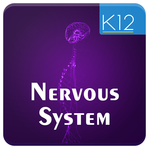 Nervous System of Mammals icon