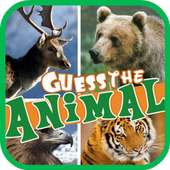 Guess the Animal 2015