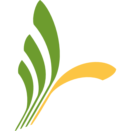 Torna Mobile RO icon