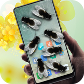 Flies in phone prank أيقونة