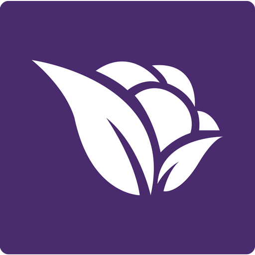 Violetta Cosméticos icon