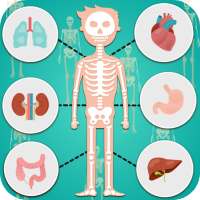 داخل بدن چه خبره ؟ - count body part on 9Apps