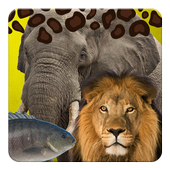Safari Animals Sound icon