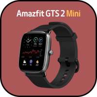 Amazfit GTS 2 Mini Guide