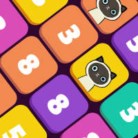 دمج الرقم السحري مع العملات المعدنية