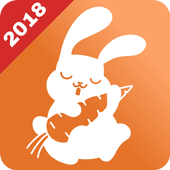 Fast Rabbit Browser icon