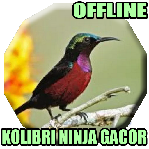Suara Kolibri Ninja Gacor Mp3 icon