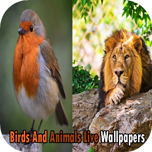 Birds And Animals Live Wallpapers أيقونة