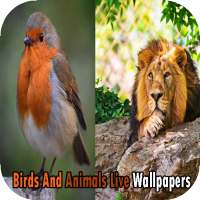 Birds And Animals Live Wallpapers on 9Apps