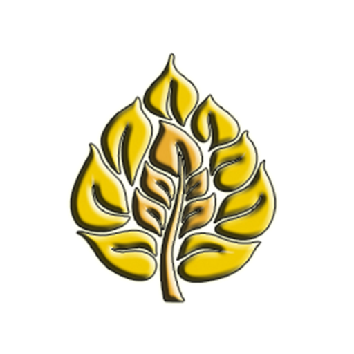 Dhamma Videos icon