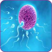 Infertility Solutions on 9Apps