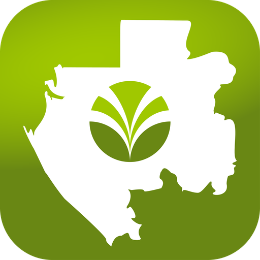 Olam App Release icon