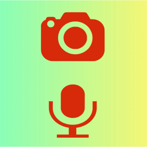 Camera External Mic icon