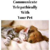 animal communication иконка