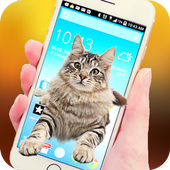 Walk Cat On Screen icon