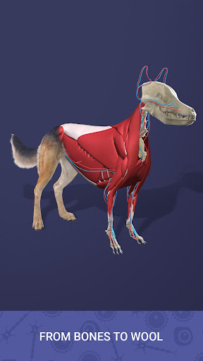 Idle Pet - Create cell by cell screenshot 19