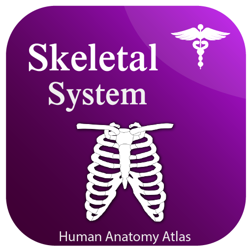 Skeletal System - Skeleton Anatomy 2021 icon