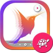 Slow Motion Video Maker: Video FX on 9Apps