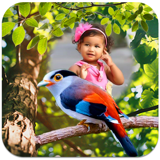 Birds Photo Frames icon