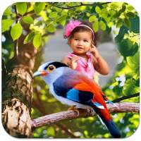 Birds Photo Frames on 9Apps