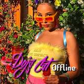 Doja Cat - Say So Offline