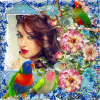 Bird Photo Frame on 9Apps