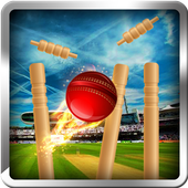 cricket bowling 3d 2017 icon